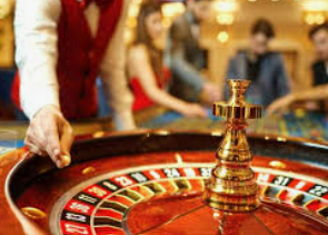 壹号下载app链接2024最新版