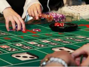 壹号下载app链接最新版